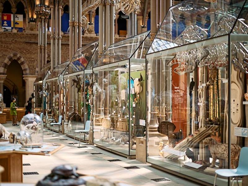 A view of the 'Life As We Know It' display cases